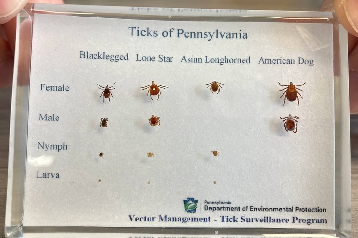 Ticks of PA