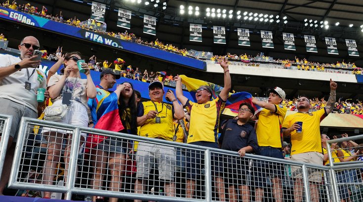 World Cup Linc fans