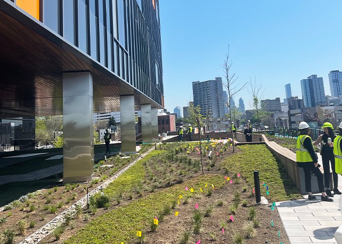 Limited - University Place In-Article 2 Green Roof 2