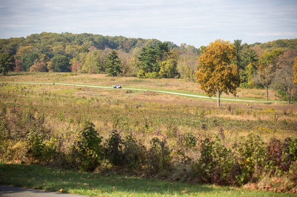 Valley Forge national park invasive species