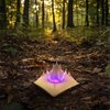 Veil treasure hunt