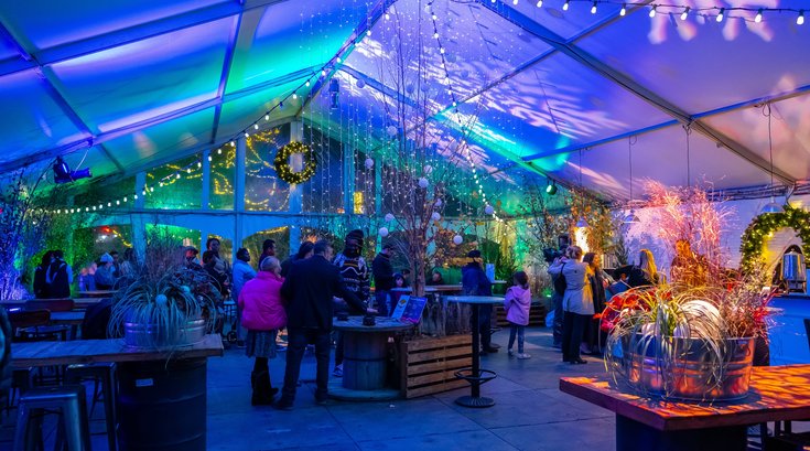 winter in franklin square - ben on the rocks