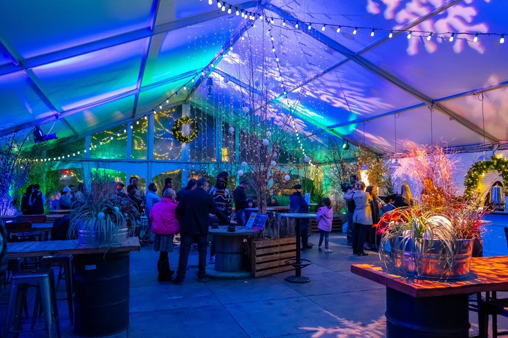 winter in franklin square - ben on the rocks