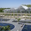 Waterlily Court Longwood