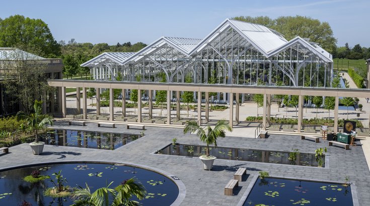 Waterlily Court Longwood