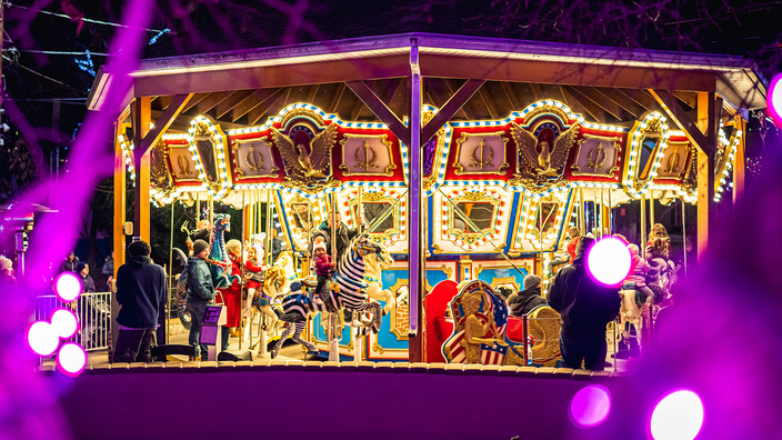 Elmwood Park Zoo - Wild Lights
