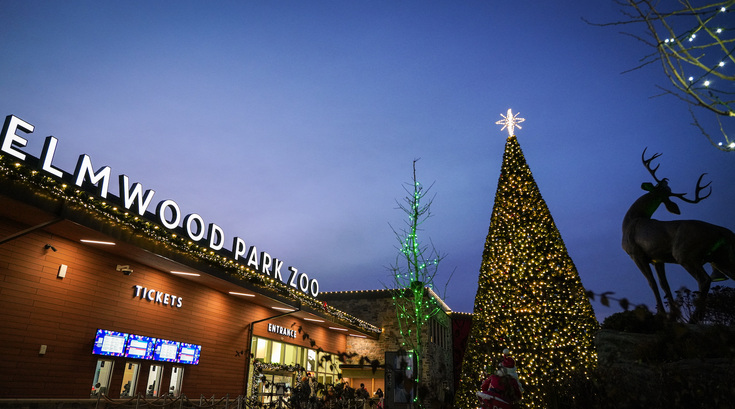 Elmwood Park Zoo - Wild Lights 5