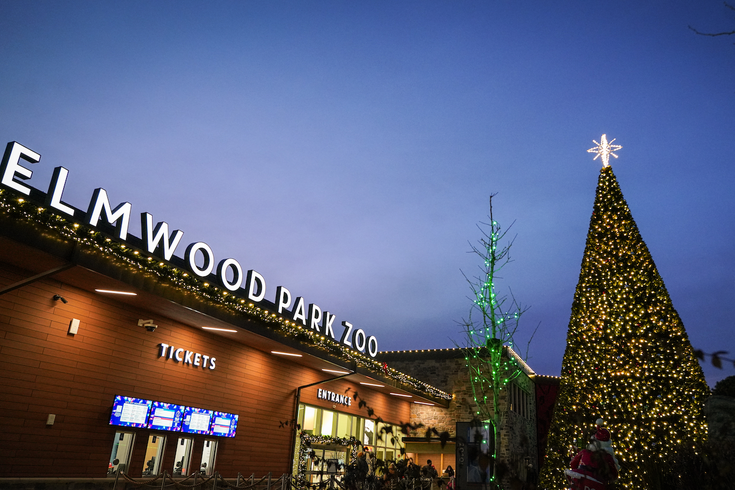 Elmwood Park Zoo - Wild Lights 5