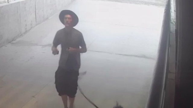 Wildwood dog suspect