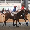 Work to Ride Arena Polo Championship 2026