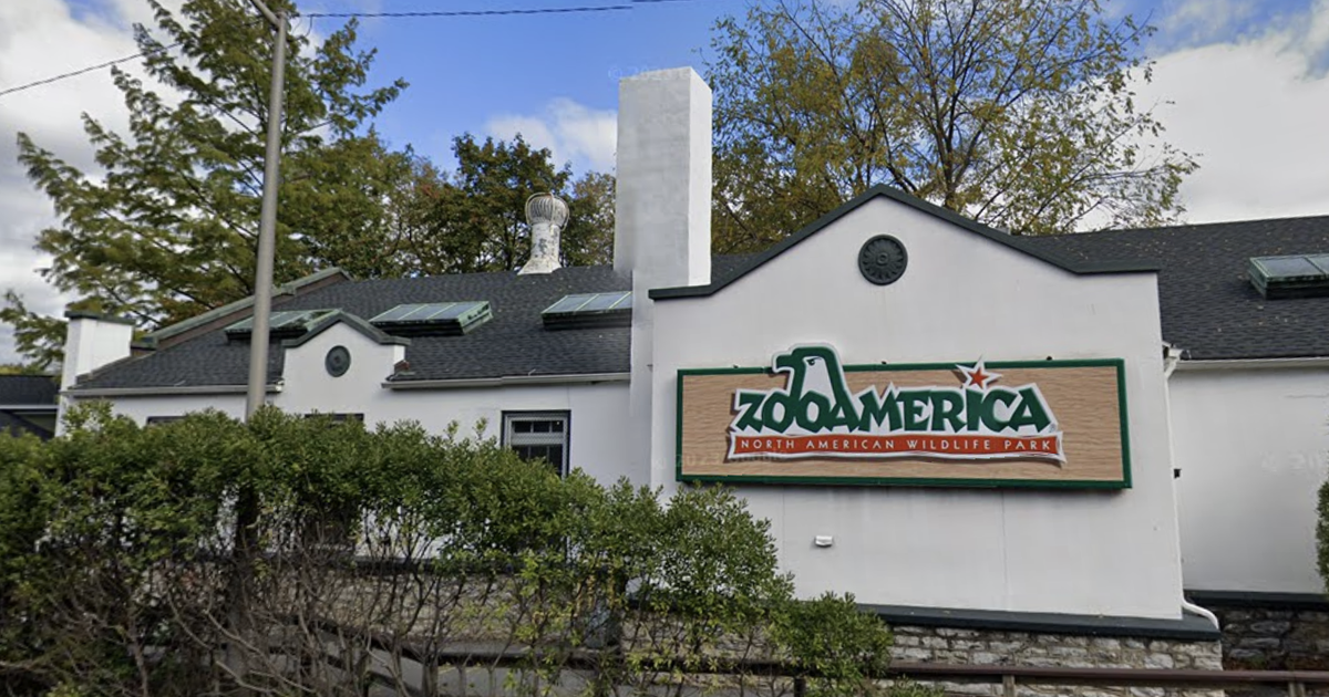 Parents of toddler who was injured by wolf at Hershey zoo face charges ...