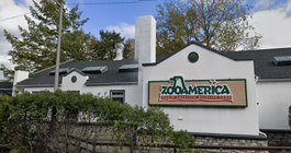 ZooAmerica wolf incident