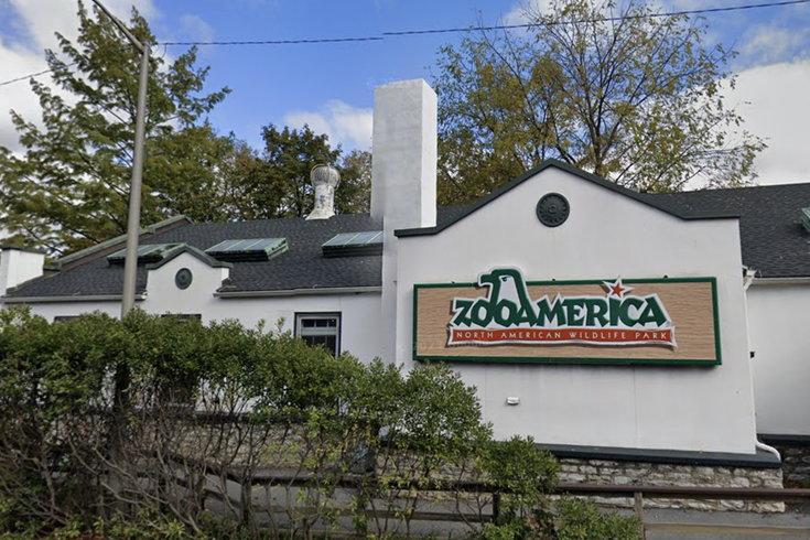 ZooAmerica wolf incident