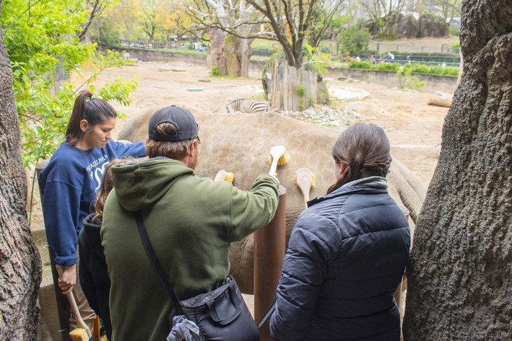 Zoo behind the scenes