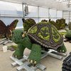 Zootopiaries giant tortoise