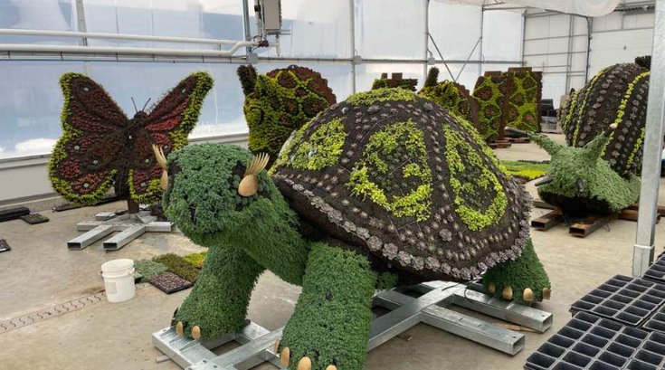 Zootopiaries giant tortoise