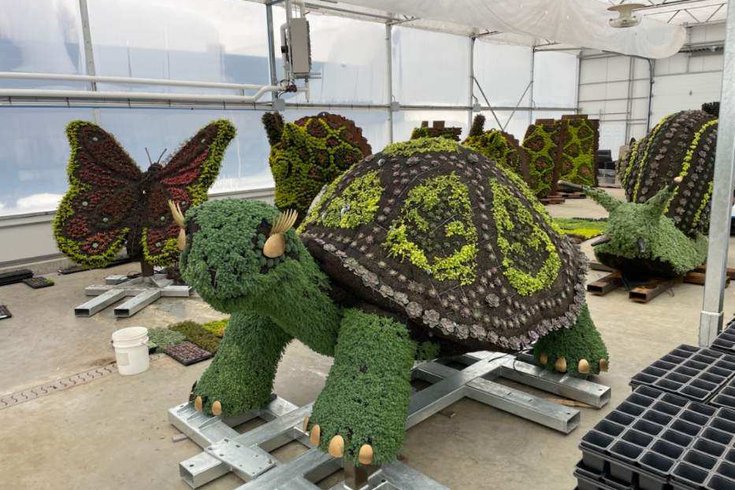 Zootopiaries giant tortoise