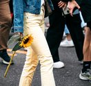 spring garden sunflower festival
