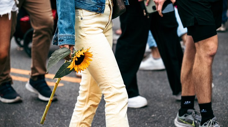 spring garden sunflower festival
