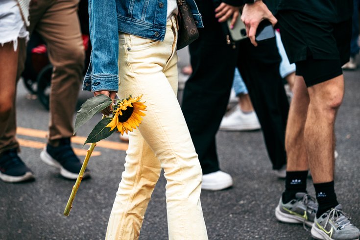 spring garden sunflower festival