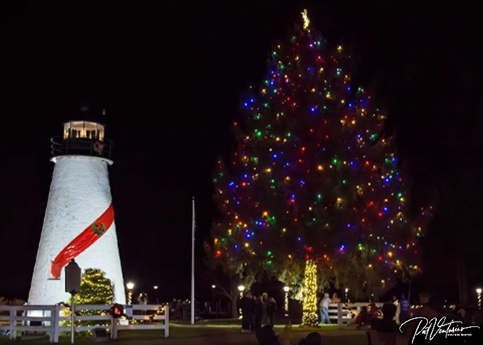 Limited - Hellow Harford Holly Jolly