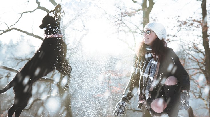 Person playing with dog in snow