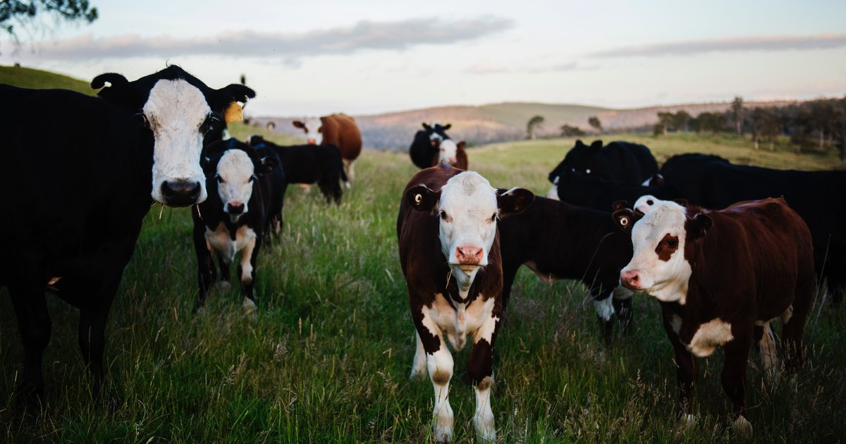 Pa. now has an official Ice Cream Trail PhillyVoice