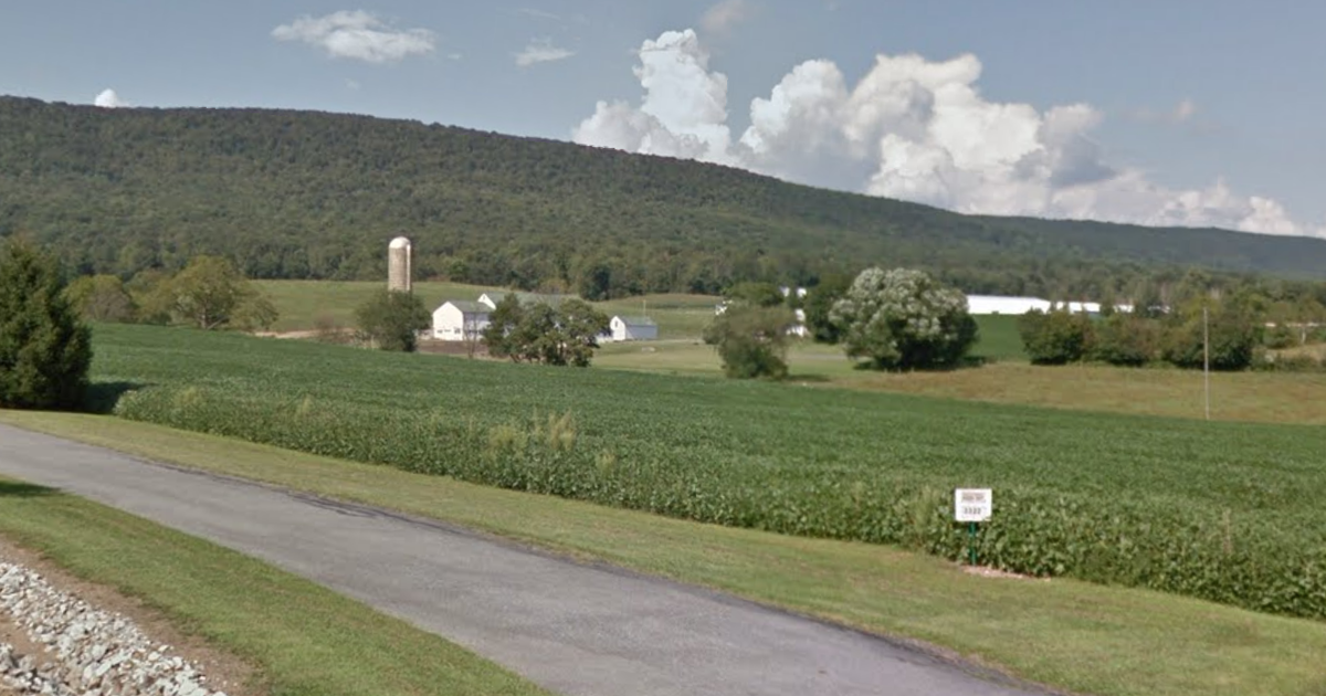 More than 25,000 chickens killed in Berks County barn fire at A&L Farms