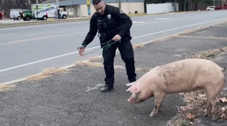 Deptford Pig Police