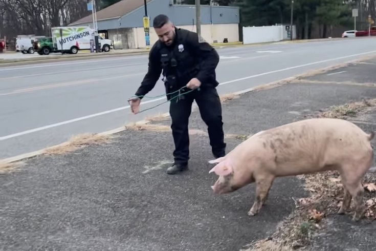 Deptford Pig Police