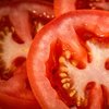 1009_tomatoes sperm infertility