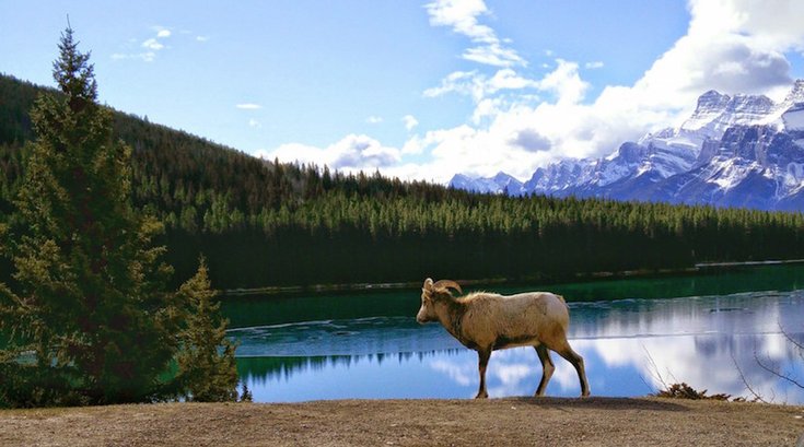 Banff National Park