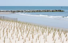 Beach in South Jersey - Carroll