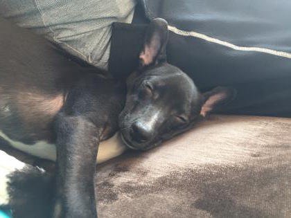 Rescue Me: Belle