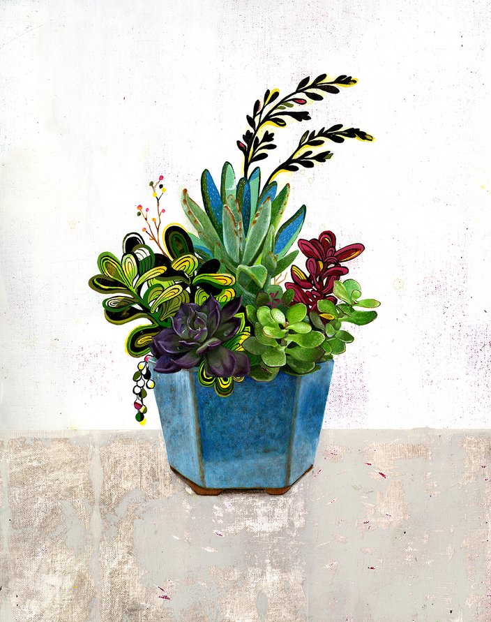 Bluevase Succulent 