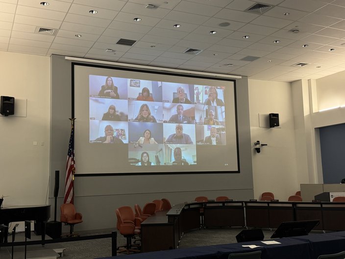 Board members virtual