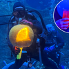 Boo Bash at Adventure Aquarium