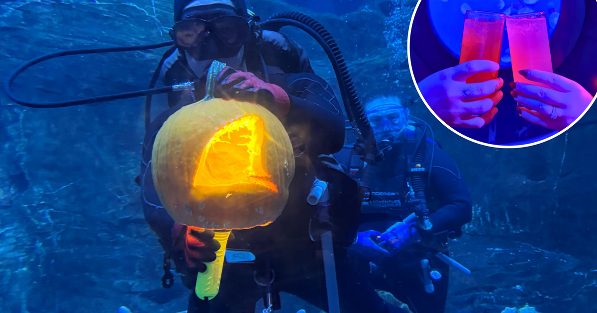 Adventure Aquarium Boo Bash 2026: 21+ Halloween party Oct. 29 Adventure Aquarium Boo Bash 2026: 21+ Halloween party Oct. 29