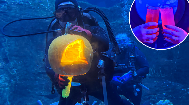 Boo Bash at Adventure Aquarium