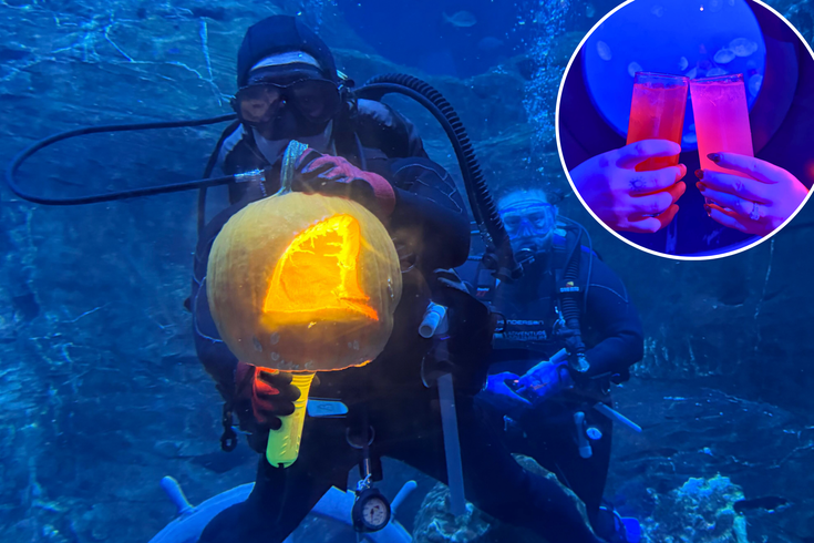 Boo Bash at Adventure Aquarium