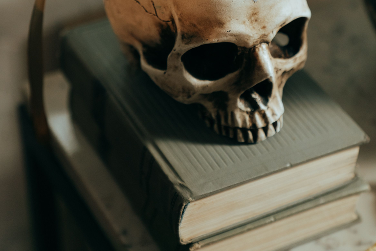 Skull on top of books