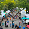 Brandywine Festival of the Arts