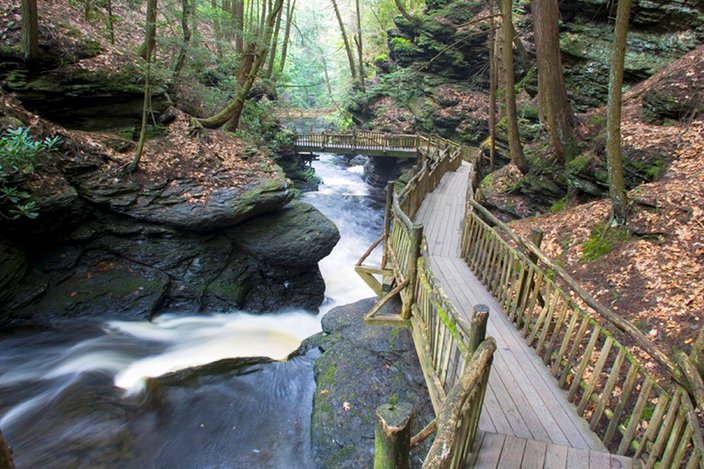 Limited - Bushkill Falls - Stream