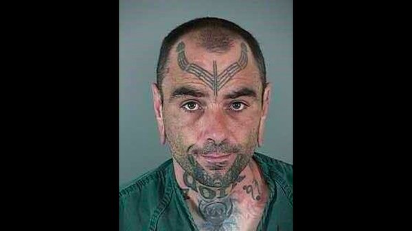 Most Wanted Dork