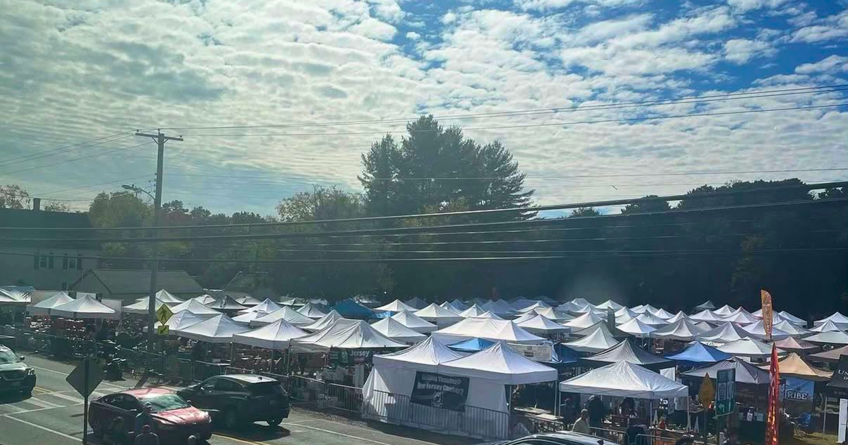 Chatsworth Cranberry Festival 2026 brings up to 150 craft vendors to the Pine Barrens