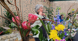 cherryblossom fest.png