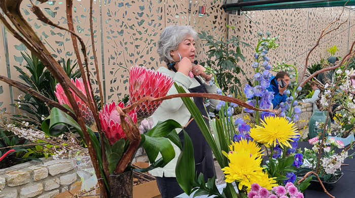 cherryblossom fest.png