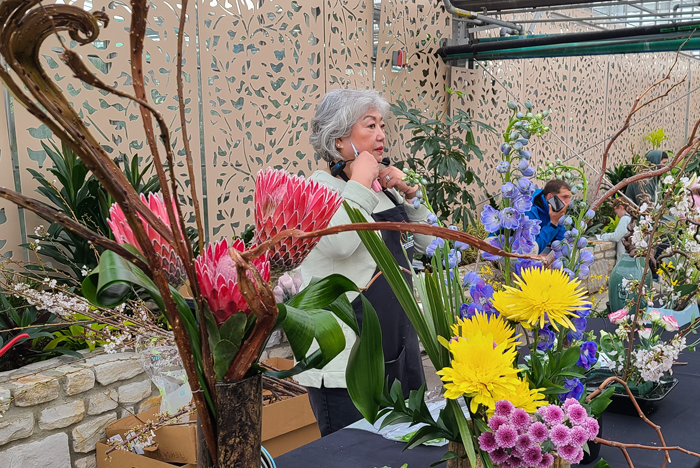 cherryblossom fest.png