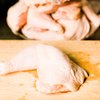 chicken-salmonella-outbreak-flickr