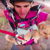 Cliff Diving Dog Paco Adrenaline Addiction Chase Reinford
